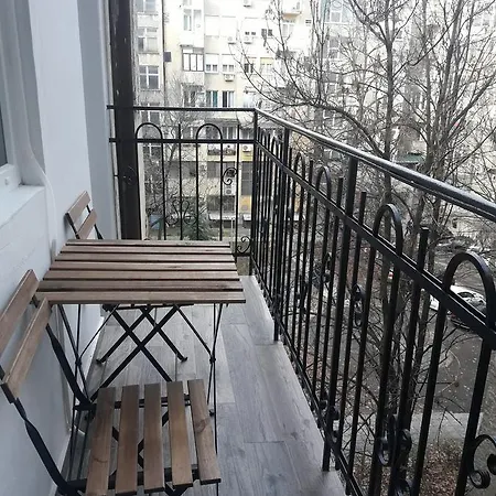 Momo * Belgrade